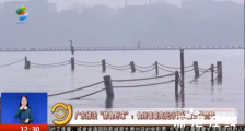 广东率先将“全面禁食野味”写入地方性法规 具体什么情况?