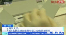 5月底疫苗可进行动物试验 具体什么情况?