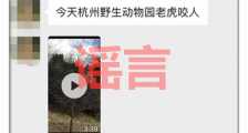 杭州野生动物园老虎吃人视频热传 园方辟谣:多年前他地视频