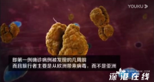 美媒曝纽约疫情来源 是甩锅还是真相?具体情况如何?