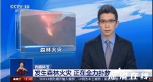 西藏林芝森林火灾 目前现场情况如何?损失如何?