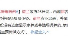 荷兰出现貂感染新冠病毒病例 或遭雇员传染