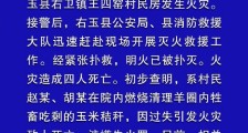 山西右玉县发生火灾致4死 原因系2人烧秸秆引发