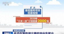 保就业在行动:多项政策助湖北高校毕业生就业