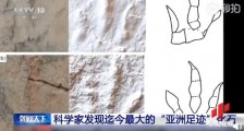 准噶尔盆地发现世界最大亚洲恐龙足迹