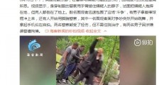 英警察与嫌犯街边抱团扭打 围观路人反应匪夷所思