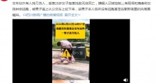 成都双庆路公交站男子持刀杀人人事件 现场视频曝光