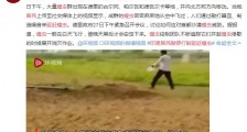 印度居民敲锣打鼓驱赶蝗虫 漫天蝗虫逼近印度首都