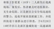 南京江北持刀伤人事件：男子砍伤妻子、继子 已被抓获