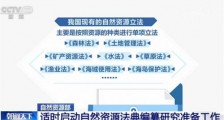 自然资源部:适时启动自然资源法典编纂研究准备工作