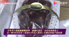 日本天价葡萄一串8.5万元是什么品种？浪漫红宝石葡萄价格
