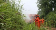 紧急!大量蝗虫入境 黄脊竹蝗入侵云南波及13.5万亩