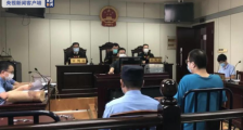 案值超两千万元!江苏特大象牙走私案开庭宣判
