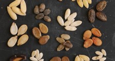 中国人的吃饭问题:我们的种子是否真的到了危险边缘?