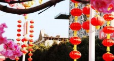 中国人即将喜迎牛年,世界却传来三个不祥之兆!