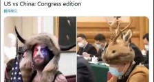 这图火了!美国“牛头”VS中国“小鹿头”