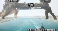印度人开台湾从日本租的美国船挂巴拿马国旗堵运河,大阴谋?