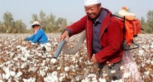 我驻澳大使反击涉疆谣言:若有人挑衅将奉陪到底