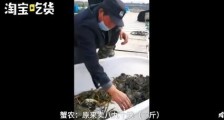 阳澄湖螃蟹大量滞销原因是什么？30一斤也无人问津