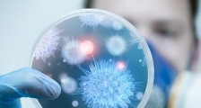 芬兰疫情最新消息  截止2月27日芬兰确诊2例新冠肺炎病例
