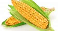 一根鲜玉米卖10元  武汉一公司涉嫌哄抬物价被罚300万