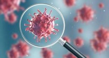 韩国疫情最新情况 韩国研究团队发现新冠病毒抗体
