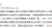 木里森林火灾通报 失火的原因是什么?什么情况?