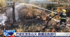 西藏林芝森林火灾 目前火扑灭了吗?是否有人员伤亡?