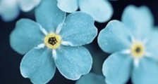 占豪:特朗普最亲近的人确认感染新冠!特朗普还远吗?
