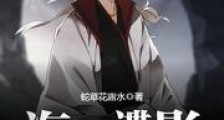 海贼谍影