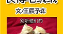 你就是嫉妒我长得毛绒绒