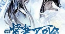 丑丑贤妻不可负