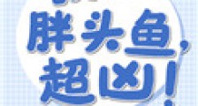 我,胖头鱼,超凶!