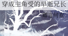 穿成主角受的早逝兄长