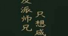 反派师兄只想咸鱼