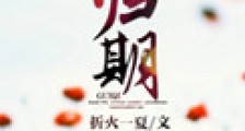 归期(离婚后的故事)
