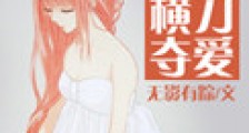 横刀夺爱