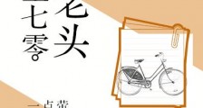 重生七零王老头