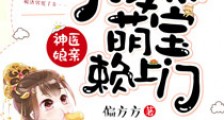 神医娘亲：腹黑萌宝赖上门