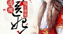 残王嗜宠:透视小医妃