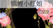 锦鲤小红娘