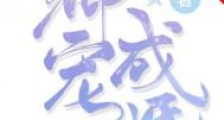 五号工装