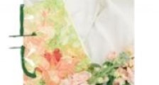 掌上飞花