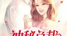 神秘总裁傲娇妻