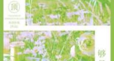 爬到山顶够月亮/相亲对象是初恋