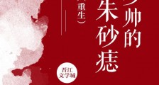 少帅的朱砂痣