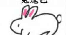 不要碰我的兔尾巴
