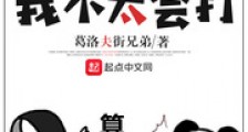 加一个,我不太会打