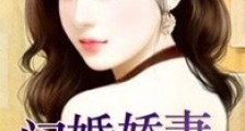 闪婚娇妻太迷人