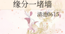 缘分一堵墙